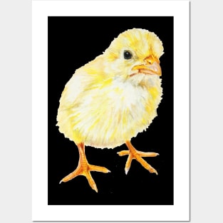 Yellow Baby Chick Posters and Art